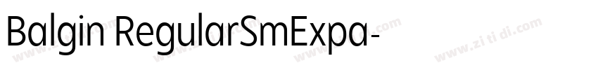 Balgin RegularSmExpa字体转换